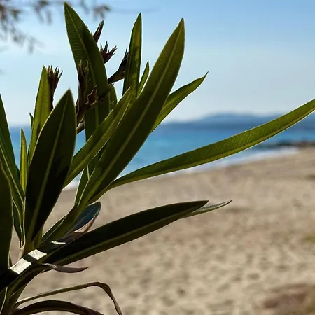 House Nikiti (Sithonia)
